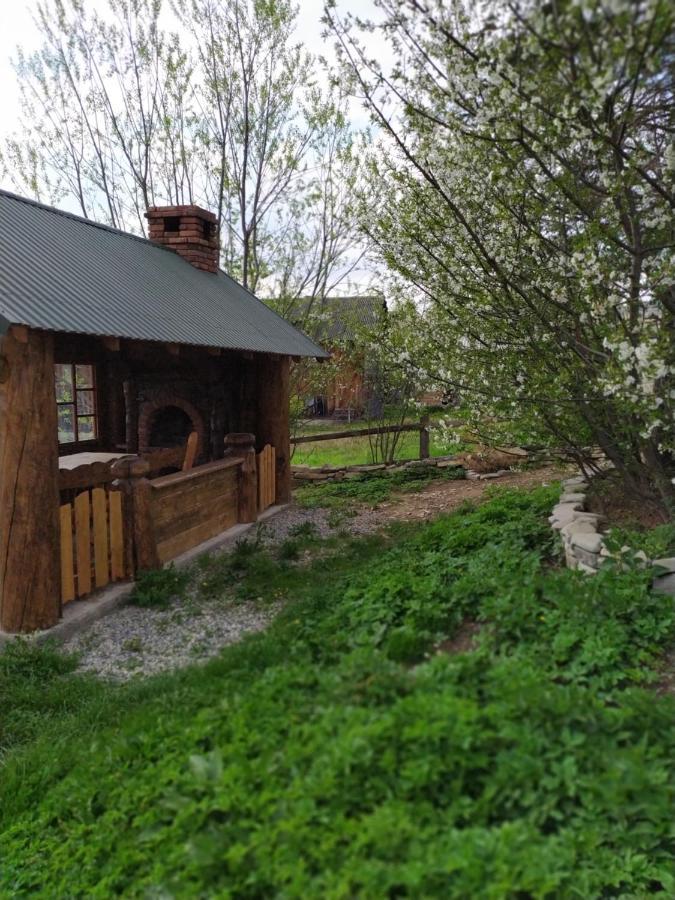 Dobryi Hutsul 2 Villa Mykulychyn Buitenkant foto